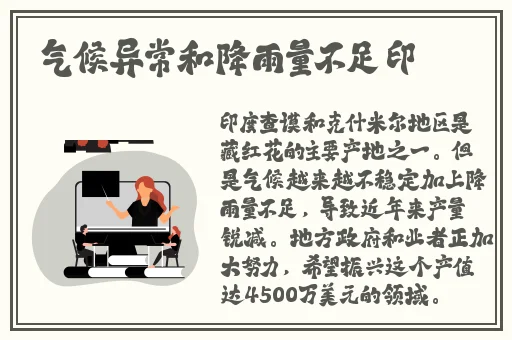 99久久精品高清特黄不卡伊人